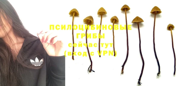 mix Кинешма